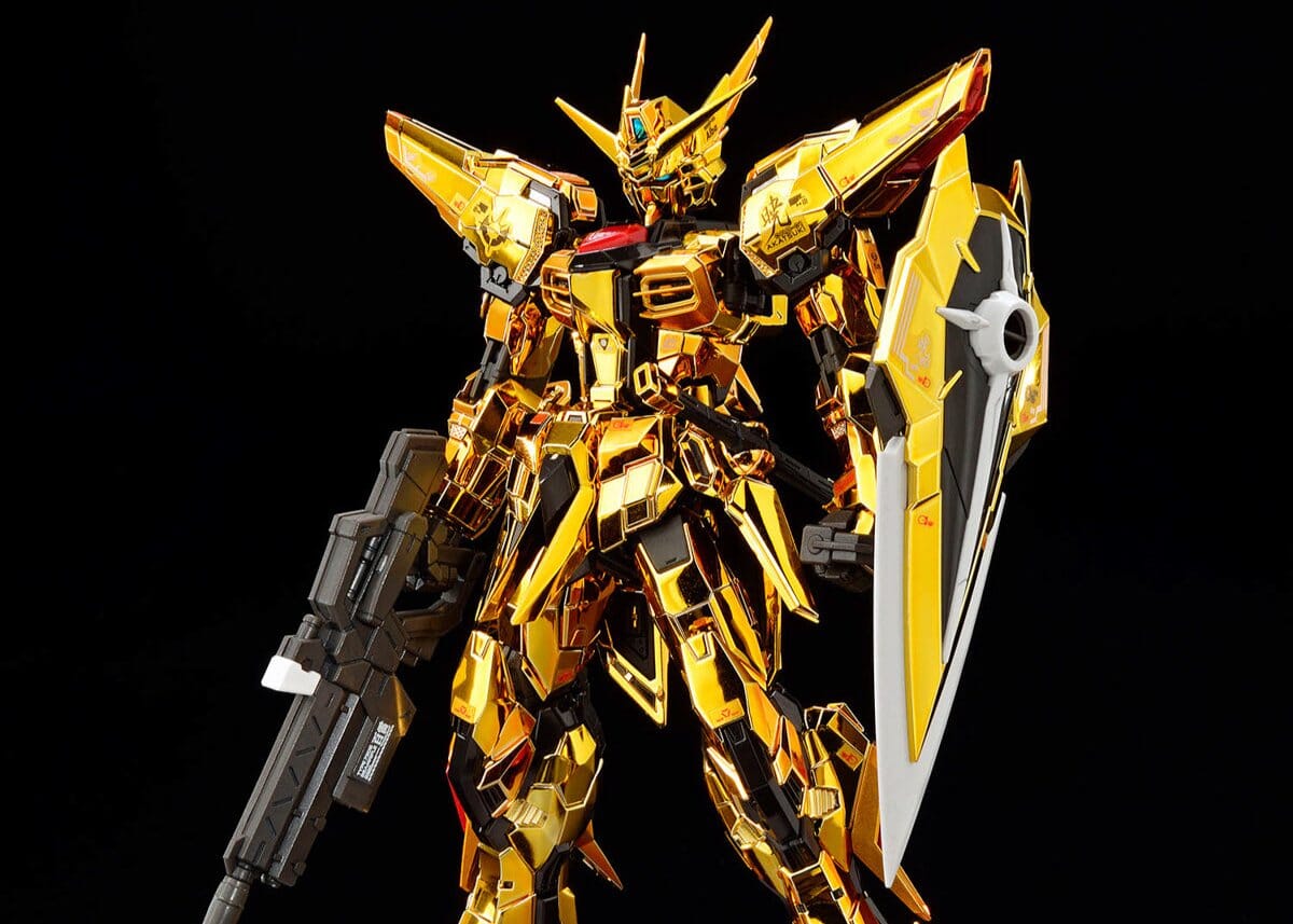 #41 Akatsuki Gundam OOWashi unit "Mobile Suit Gundam SEED Destiny" RG 1/144