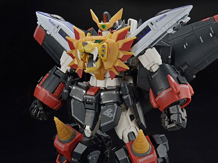 RG Gaogaigar